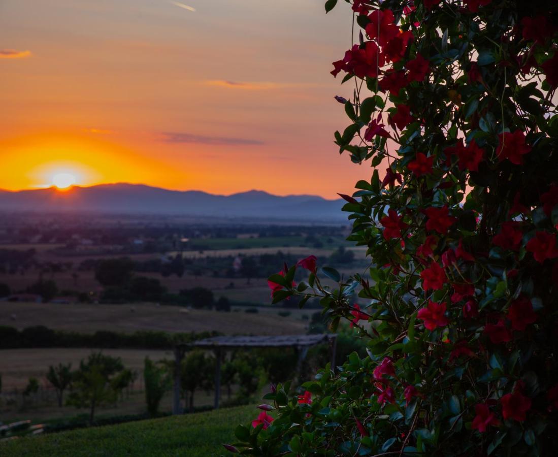 Podere N.8 Bio Casale Maremma Alberese Luaran gambar